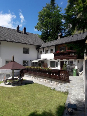 Гостиница Apartment Tarman, Есенице